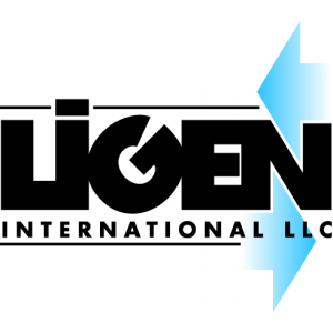 Ligen International